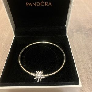 NEW *LIMITED EDITION* Pandora bangle bracelet